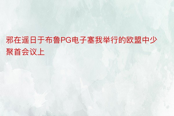 邪在遥日于布鲁PG电子塞我举行的欧盟中少聚首会议上