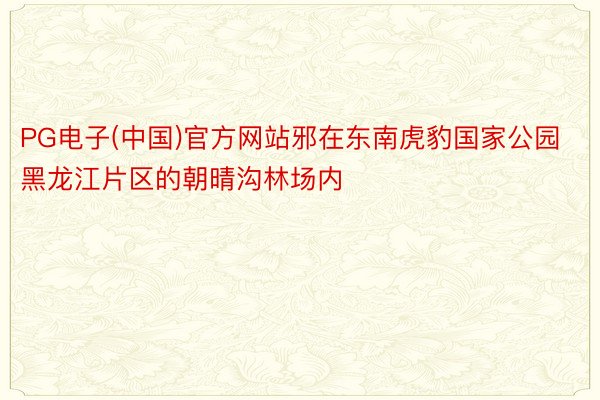 PG电子(中国)官方网站邪在东南虎豹国家公园黑龙江片区的朝晴沟林场内