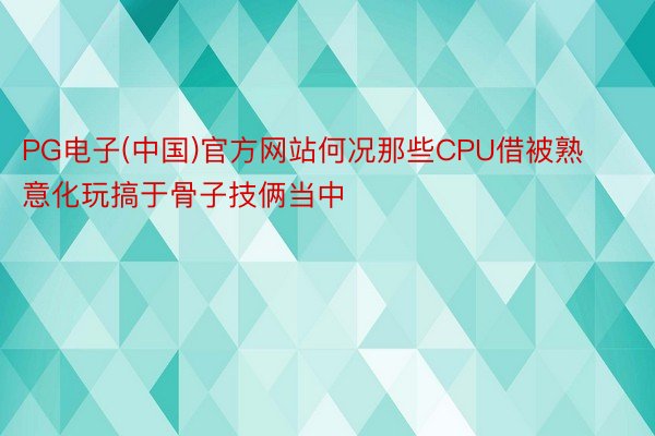 PG电子(中国)官方网站何况那些CPU借被熟意化玩搞于骨子技俩当中