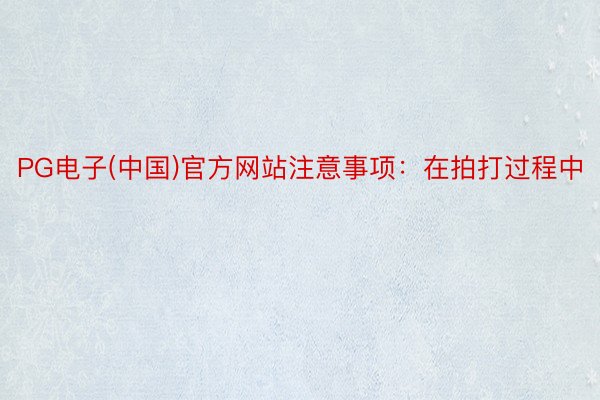 PG电子(中国)官方网站注意事项：在拍打过程中